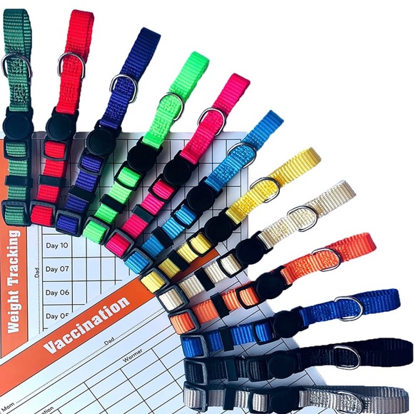 Puppy Collars - Picture 2 of 9